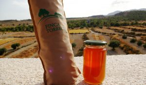 almendras y miel ecologica Organic Almonds and Honey