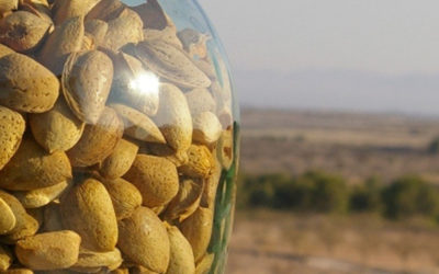 ALMENDRAS ORGÁNICAS 2017 Organic Almonds