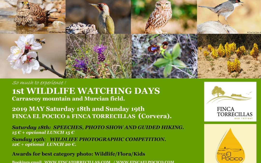 MAY 18th & 19th 2019                   1st WILDLIFE WATCHING DAYS